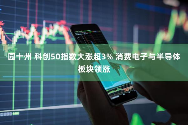 园十州 科创50指数大涨超3% 消费电子与半导体板块领涨