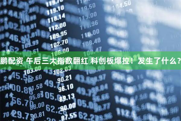 鹏配资 午后三大指数翻红 科创板爆拉！发生了什么？