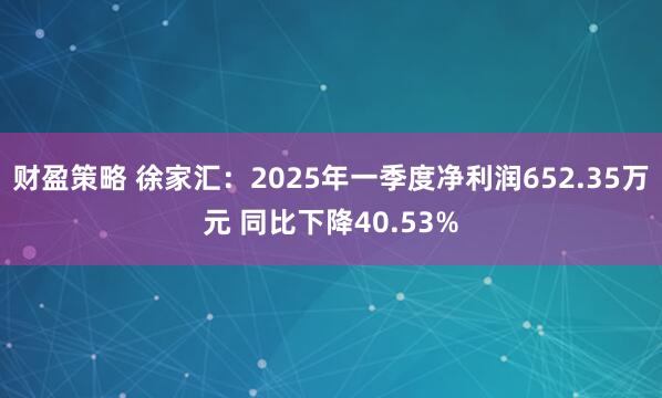 财盈策略 徐家汇：2025年一季度净利润652.35万元 同比下降40.53%