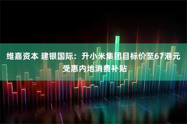 维嘉资本 建银国际：升小米集团目标价至67港元 受惠内地消费补贴