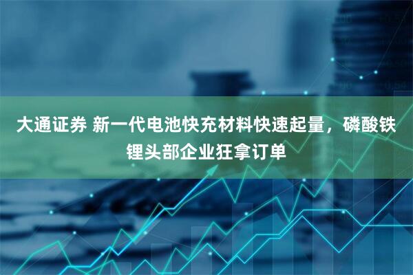 大通证券 新一代电池快充材料快速起量，磷酸铁锂头部企业狂拿订单