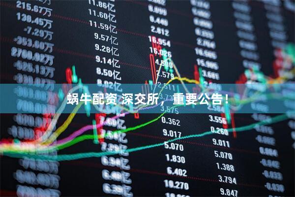 蜗牛配资 深交所，重要公告！