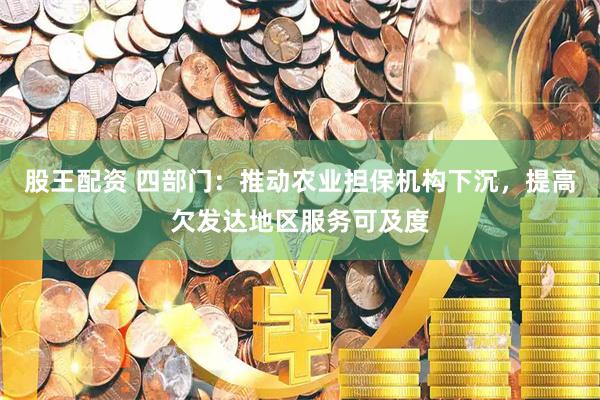 股王配资 四部门：推动农业担保机构下沉，提高欠发达地区服务可及度