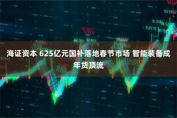 海证资本 625亿元国补落地春节市场 智能装备成年货顶流