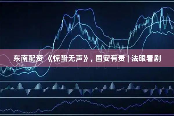 东南配资 《惊蛰无声》, 国安有责 | 法眼看剧