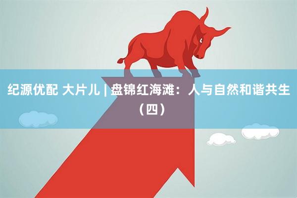 纪源优配 大片儿 | 盘锦红海滩：人与自然和谐共生（四）