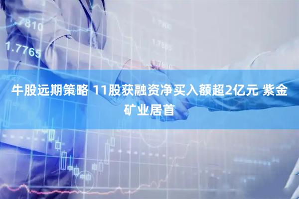 牛股远期策略 11股获融资净买入额超2亿元 紫金矿业居首